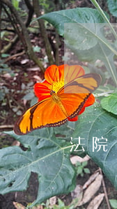 法院處理的房子可以買嗎