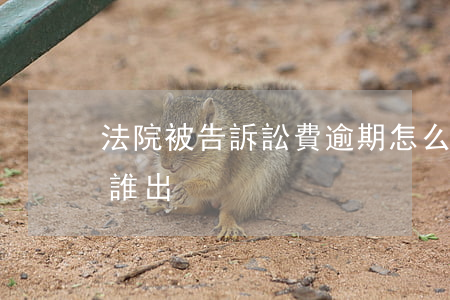 法院被告訴訟費逾期怎么辦(逾期被起訴費用誰出)