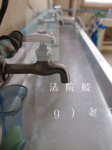 法院被執(zhí)行人可以交養(yǎng)老金嗎