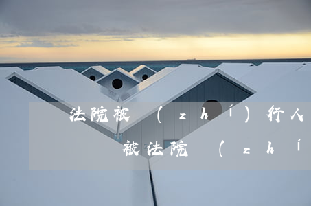 法院被執(zhí)行人可以做火車嗎(民事糾紛被法院執(zhí)行了可以坐火車嗎)