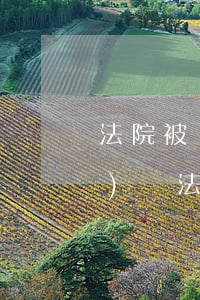 法院被執(zhí)行人可以做飛機(jī)嗎(法院起訴被執(zhí)行能坐飛機(jī)嗎)