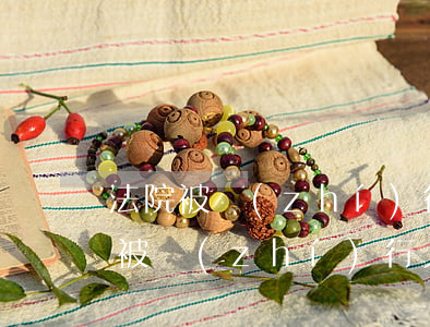 法院被執(zhí)行人可以做高鐵嗎(法院被執(zhí)行人是不是不能坐高鐵)