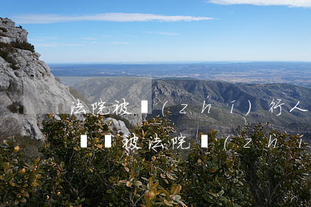 法院被執(zhí)行人可以坐火車嗎(民事糾紛被法院執(zhí)行了可以坐火車嗎)
