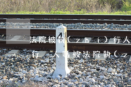 法院被執(zhí)行人可以執(zhí)行別人嗎(被法院執(zhí)行的能不能起訴別人)