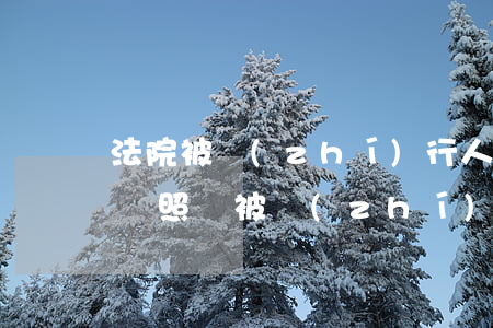 法院被執(zhí)行人可以學(xué)駕照嗎(被執(zhí)行人可以考駕照嗎)