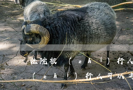 法院被執(zhí)行人可以學駕照嗎(被執(zhí)行人可以考駕照嗎)