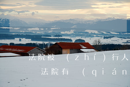 法院被執(zhí)行人可以異地辦身份證嗎(法院有強(qiáng)制執(zhí)行能用身份證嗎)