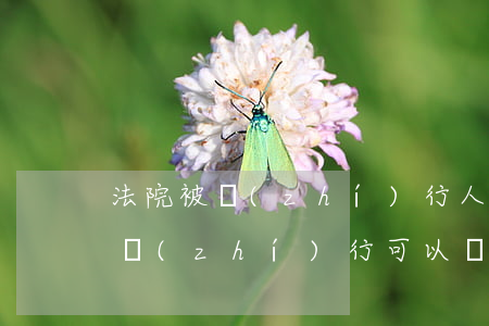 法院被執(zhí)行人可以結婚嗎(法院有執(zhí)行可以領結婚證嗎)