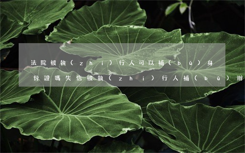 法院被執(zhí)行人可以補(bǔ)身份證嗎(失信被執(zhí)行人補(bǔ)辦身份證能被法院查到嗎)
