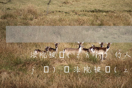 法院被執(zhí)行人名單可以做飛機(jī)嗎(法院被執(zhí)行人名單可以做飛機(jī)嗎)