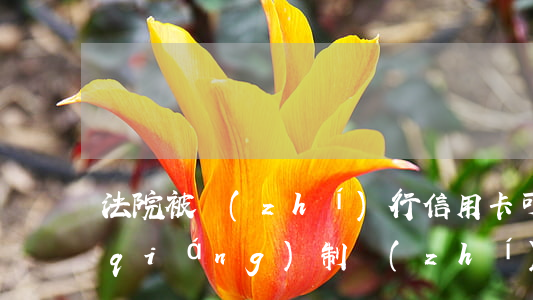 法院被執(zhí)行信用卡可以刷嗎(強(qiáng)制執(zhí)行信用卡還能刷嗎)