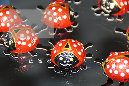 法院被執(zhí)行可以上班嗎