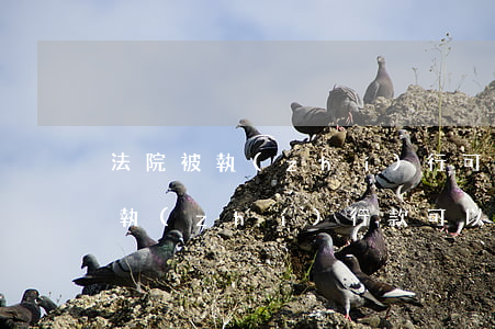 法院被執(zhí)行可以分期支付嗎(法院執(zhí)行款可以分期付嗎)