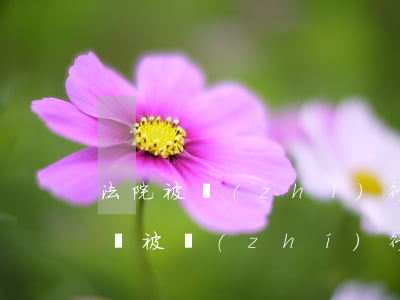 法院被執(zhí)行可以坐飛機(jī)嗎(被執(zhí)行人不能坐飛機(jī))
