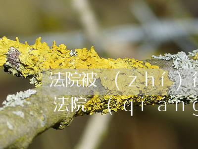 法院被執(zhí)行的人可以乘高鐵嗎(被法院強(qiáng)制執(zhí)行可以坐高鐵嗎)