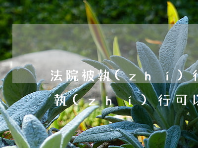 法院被執(zhí)行過做飛機可以嗎(法院執(zhí)行可以坐飛機嗎)