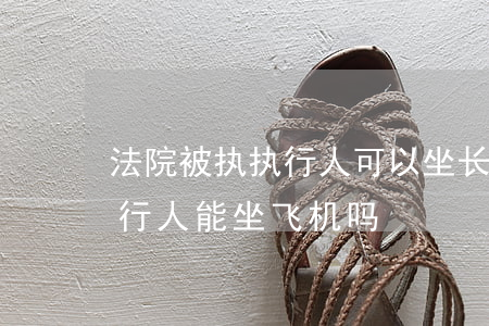 法院被执执行人可以坐长途汽车吗(法院被执行人能坐飞机吗)