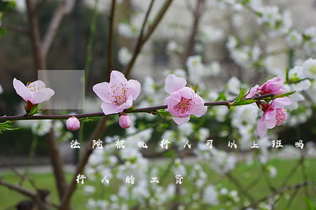 法院被执行人可以上班吗(法院如何执行被执行人的工资)