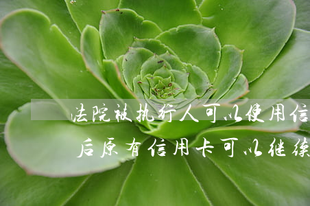 法院被执行人可以使用信用卡吗(被法院执行后原有信用卡可以继续使用吗?)
