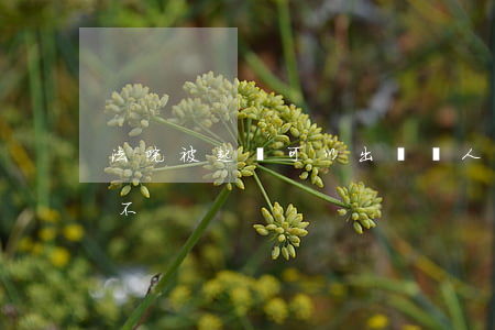 法院被起訴可以出國嗎(人在國外能起訴回國不)