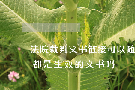 法院裁判文书链接可以随意用吗(裁判文书网都是生效的文书吗)