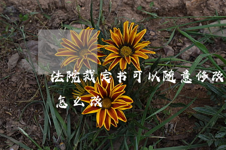 法院裁定书可以随意修改吗(裁定书案号错了怎么改)