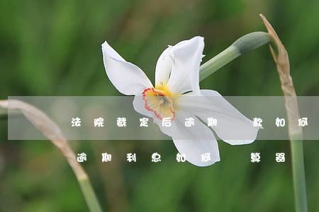 法院裁定后逾期還款如何計利息（法院判決的逾期利息如何計算器）