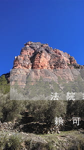 法院裁定的老賴可以坐郵輪嗎(法院裁定的老賴可以坐郵輪嗎)