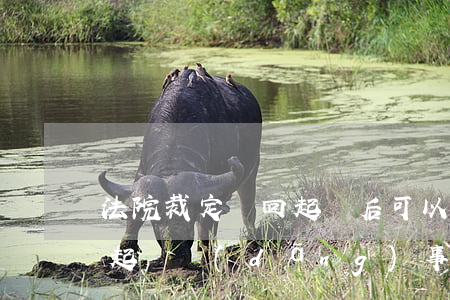 法院裁定駁回起訴后可以再起訴嗎(法院駁回起訴,當(dāng)事人還可以再起訴嗎)