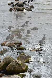 法院裁決書可以更改嗎(法院可以隨意改判決書嗎)