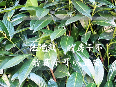 法院裁決的房子不過戶可以交易嗎(法院裁決的房子可以直接買賣嗎)