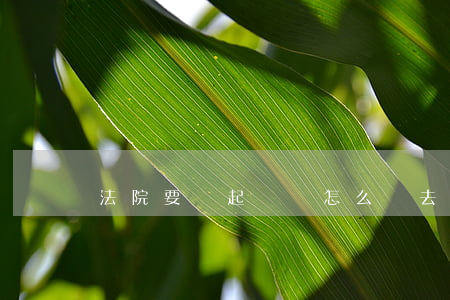 法院要錢起訴書怎么寫(去法院起訴書怎么寫)