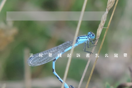 法院要錢起訴書怎么寫(要錢訴訟書怎么寫)