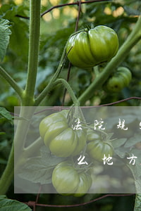 法院规定的法金不交可以吗(法院的罚金在什么地方交)