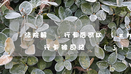 法院解凍銀行卡后可以轉(zhuǎn)賬嗎(銀行卡被司法凍結(jié)還能轉(zhuǎn)賬進(jìn)去嗎)