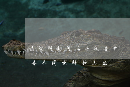 法院解封可以由被告申請(qǐng)嗎(原告不同意解封怎么辦)