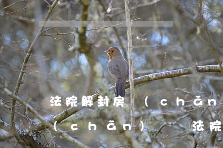 法院解封房產(chǎn)后可以拿回房產(chǎn)證嗎(法院已解封房產(chǎn)局多久給解封)