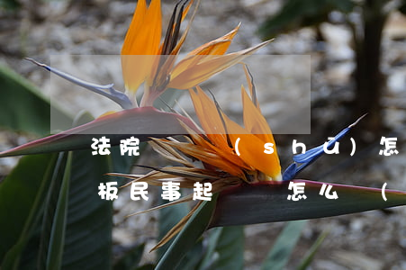 法院訴狀書(shū)怎么寫(xiě)樣板(民事起訴狀怎么寫(xiě)樣板)