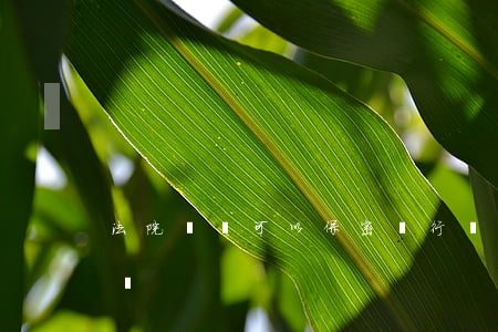 法院訴訟可以保密進行嗎(檢察院起訴書保密嗎)