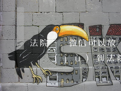 法院訴訟微信可以放證據(jù)嗎(微信有證據(jù)到法院生效么)
