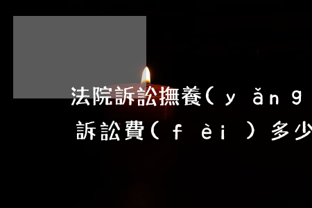 法院訴訟撫養(yǎng)權(quán)訴訟費(fèi)多少錢(撫養(yǎng)費(fèi)的訴訟費(fèi)多少錢)