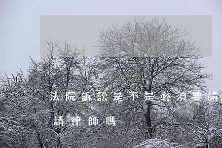 法院訴訟是不是必須要請律師(法院起訴必須請律師嗎)