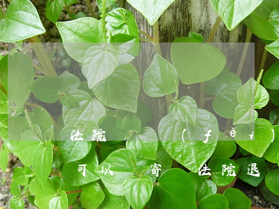 法院訴訟費(fèi)退費(fèi)材料可以郵寄嗎(法院退訴訟費(fèi)需要哪些資料)