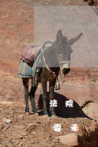 法院訴訟費(fèi)逾期一天 逾期被起訴要承擔(dān)訴訟費(fèi)嗎