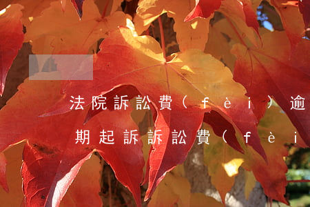法院訴訟費(fèi)逾期怎么辦（信用卡逾期起訴訴訟費(fèi)是多少）