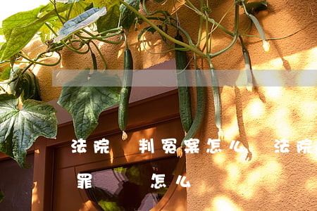 法院誤判冤案怎么辦(法院誤判冤案怎么辦犯罪記錄怎么辦)