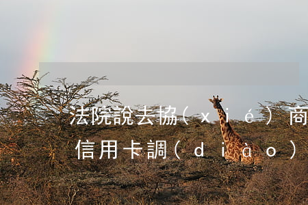 法院說去協(xié)商信用卡(法院打電話信用卡調(diào)解)