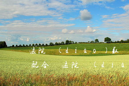法院調(diào)取證據(jù)可以不配合嗎(法院調(diào)證據(jù)不配合應(yīng)怎么處理)