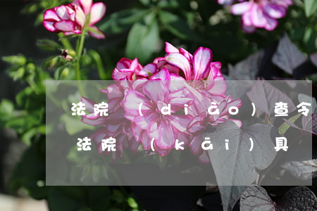 法院調(diào)查令可以委托被告方嗎(法院開(kāi)具調(diào)查令的依據(jù)?)