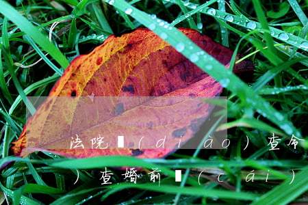 法院調(diào)查令可以調(diào)查婚前財(cái)產(chǎn)嗎(法院調(diào)查令可以調(diào)查婚前財(cái)產(chǎn)嗎)